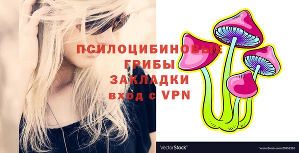 сатива Всеволожск