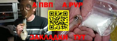 шишки Абакан