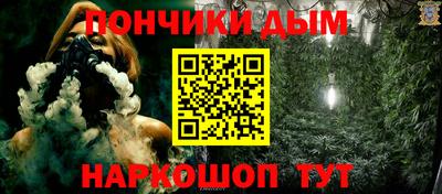 шишки Абакан