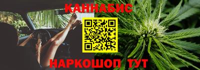 гидра Лесосибирск