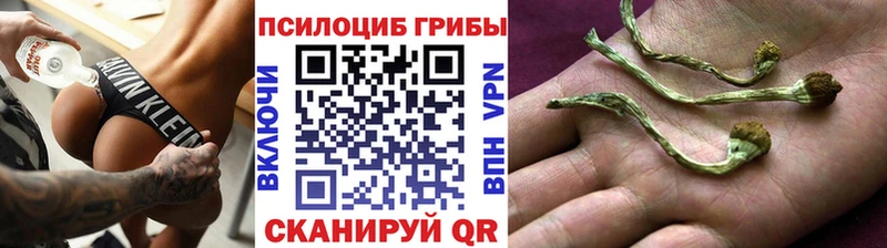 MEGA как войти Отрадное Псилоцибиновые грибы мухоморы