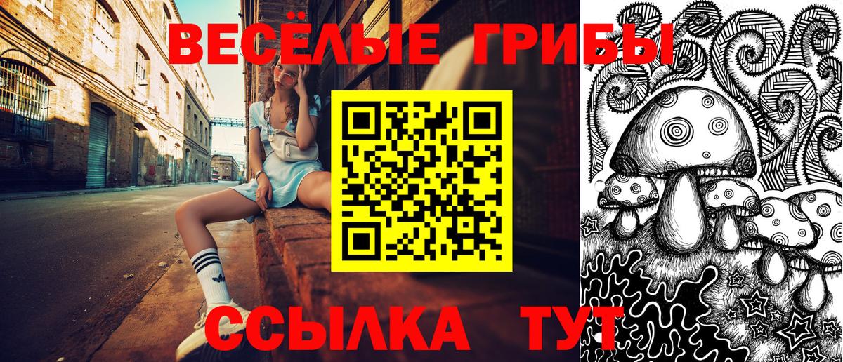 Псилоцибиновые грибы мицелий Отрадное
