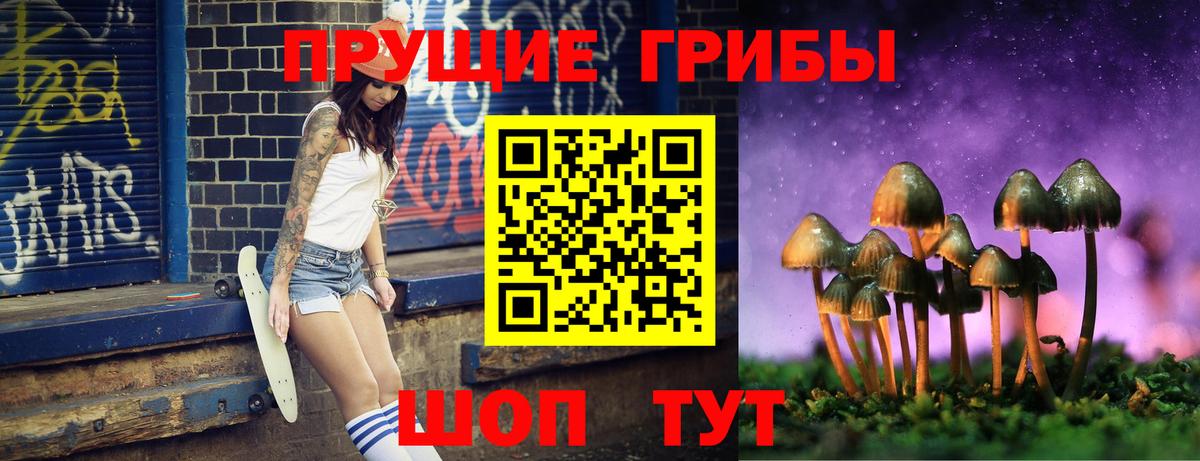 Отрадное  Галлюциногенные грибы Cubensis  Вход с VPN  Псилоцибиновые грибы прущие грибы 