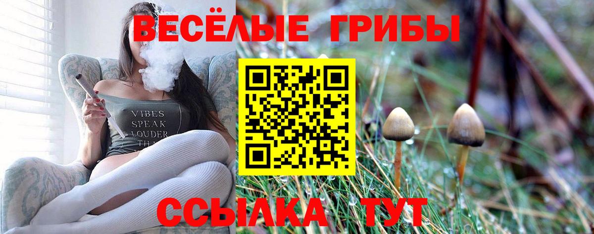 Галлюциногенные грибы мицелий Отрадное